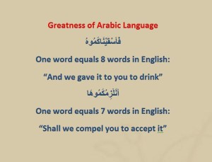 Arabic Language perfect-translators